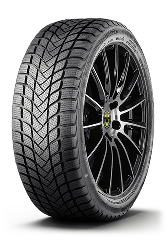 Landsail Winter Lander