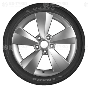 UZ310