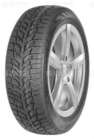 Autogreen Snow Chaser 2 AW08 225/55 R16 95H