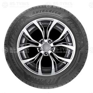 Autogreen Snow Cruiser AW06 225/70 R15C 112/110R