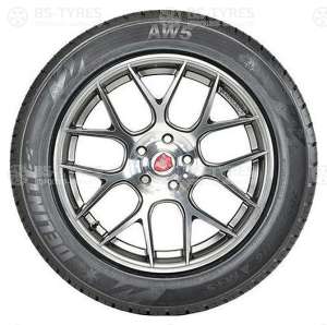 Delinte AW5 215/70 R15 109R