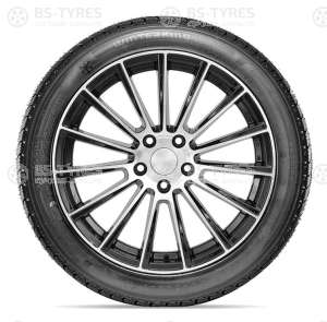 Doublestar DW02 245/45 R17 99T