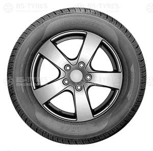 Evergreen EH22 165/60 R14 75H