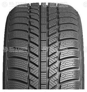 Evergreen Winter EW62 185/65 R15 92T