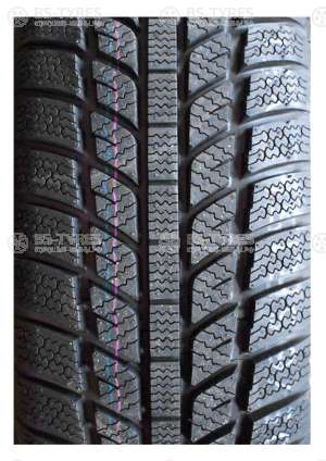 Evergreen Winter EW62 185/65 R15 92T