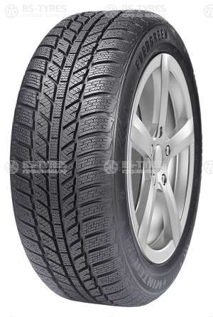 Evergreen Winter EW62 185/65 R15 92T