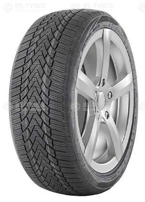 FronWay Icemaster I 255/40 R18 99H
