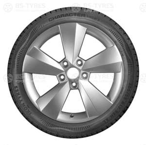 Ikon (Nokian Tyres) Character Snow 2 (Nordman RS2) 215/55 R16 97R