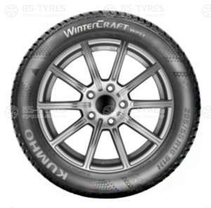 WinterCraft Ice WS51