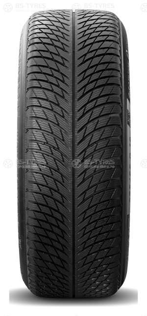 Michelin Pilot Alpin 5 295/30 R22 103W
