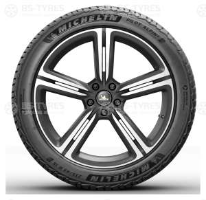 Michelin Pilot Alpin 5 295/30 R22 103W