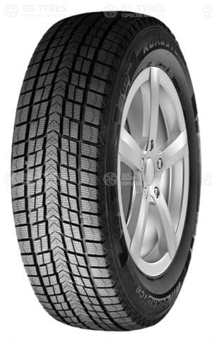 Roadstone Winguard Ice 195/65 R15 91Q