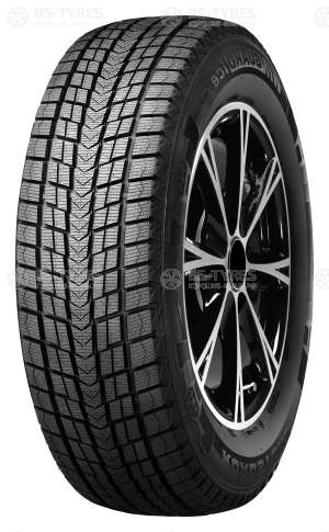 Roadstone Winguard Ice 195/65 R15 91Q