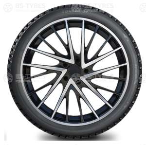 Tourador Winter Pro TSS1 225/55 R19 99T