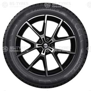 Triangle Snow PL01 225/40 R18 92R