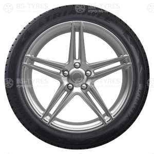 Triangle WinterX TW401 205/55 R16 94V