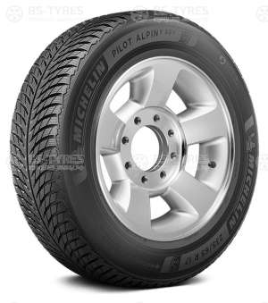 Michelin Pilot Alpin 5 295/30 R22 103W