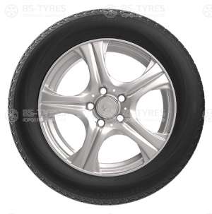 ZMax IcePioneer 868 225/45 R18 95H